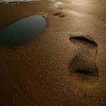 foot prints on a beach